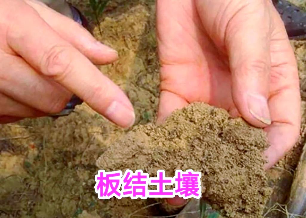 石灰与石膏在土壤改良中的应用解析